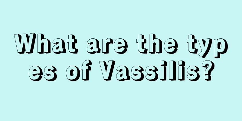 What are the types of Vassilis?