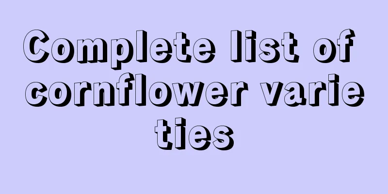 Complete list of cornflower varieties