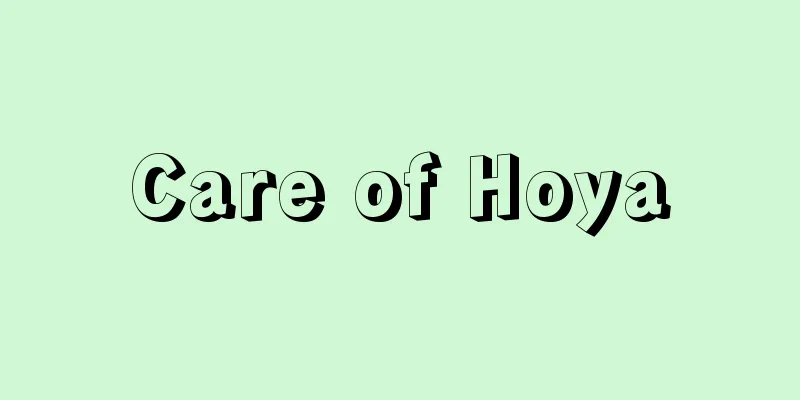 Care of Hoya