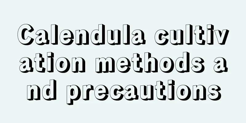 Calendula cultivation methods and precautions