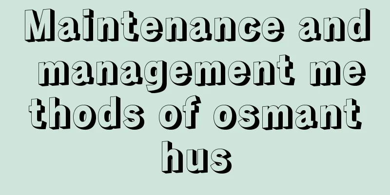 Maintenance and management methods of osmanthus