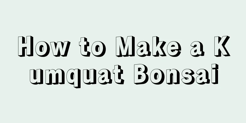 How to Make a Kumquat Bonsai