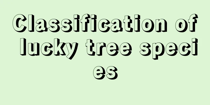 Classification of lucky tree species