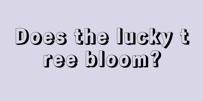 Does the lucky tree bloom?