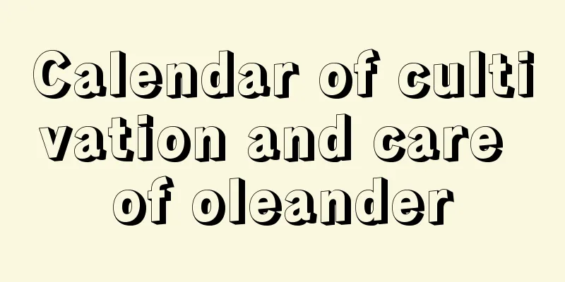 Calendar of cultivation and care of oleander