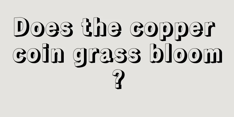 Does the copper coin grass bloom?