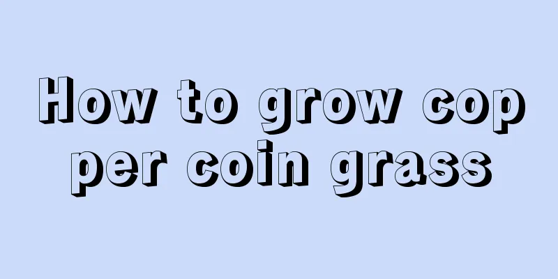 How to grow copper coin grass