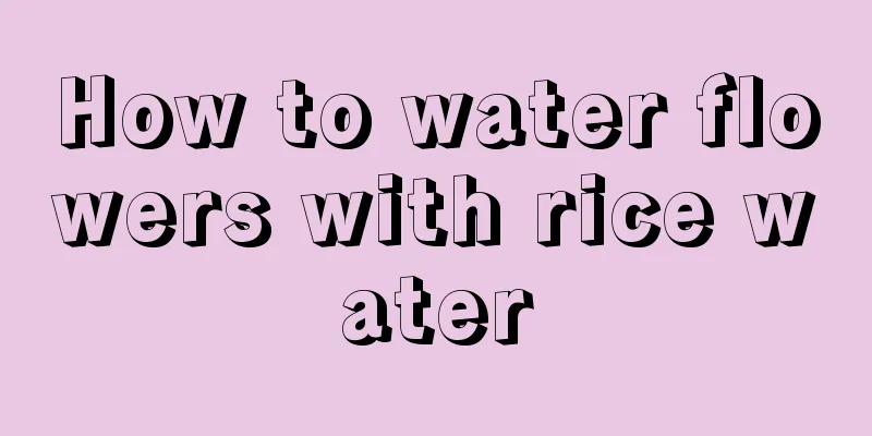 How to water flowers with rice water