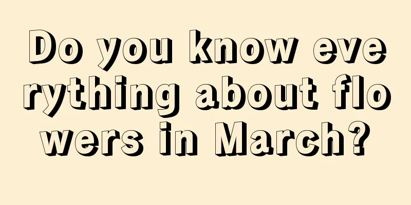 Do you know everything about flowers in March?