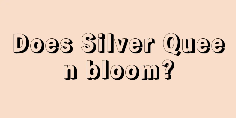 Does Silver Queen bloom?