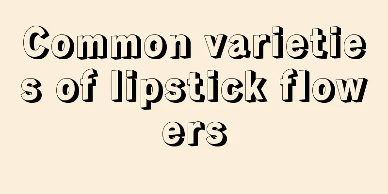 Common varieties of lipstick flowers