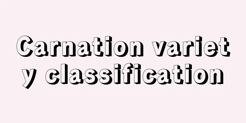 Carnation variety classification