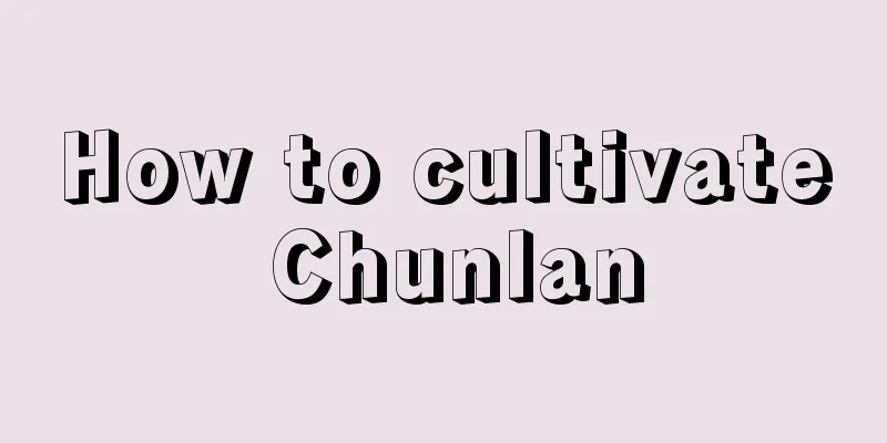 How to cultivate Chunlan