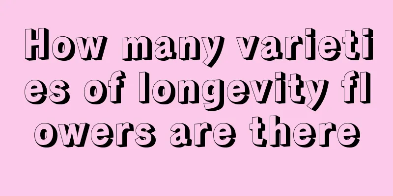 How many varieties of longevity flowers are there