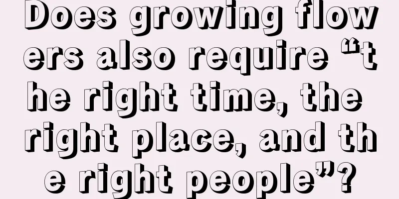 Does growing flowers also require “the right time, the right place, and the right people”?