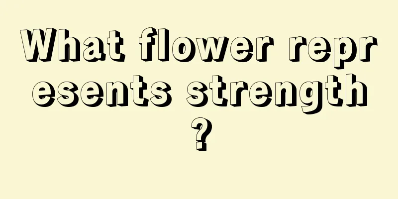 What flower represents strength?