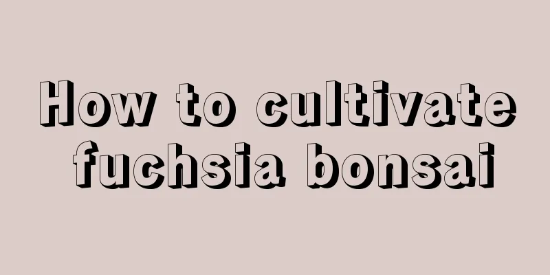 How to cultivate fuchsia bonsai