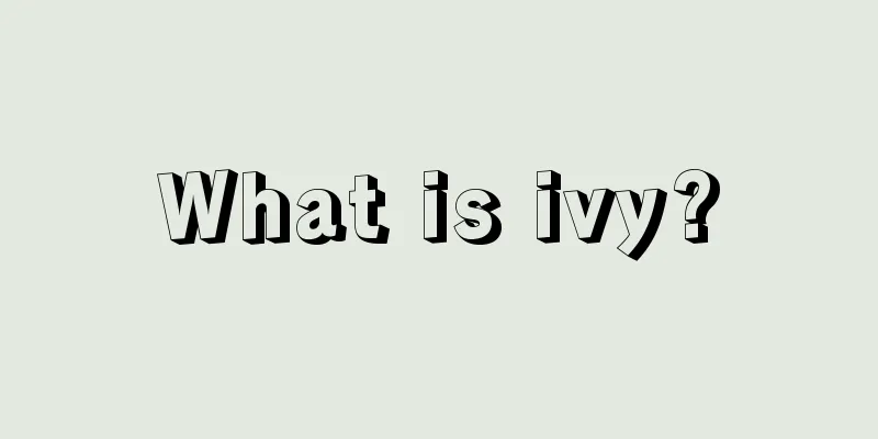 What is ivy?