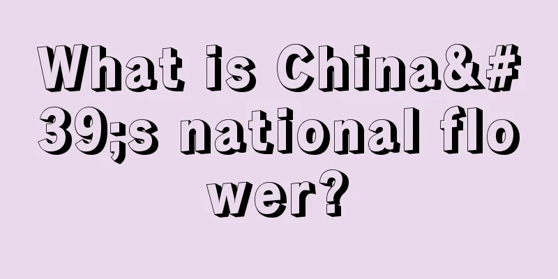 What is China's national flower?