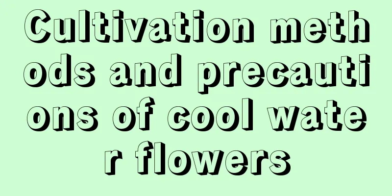 Cultivation methods and precautions of cool water flowers