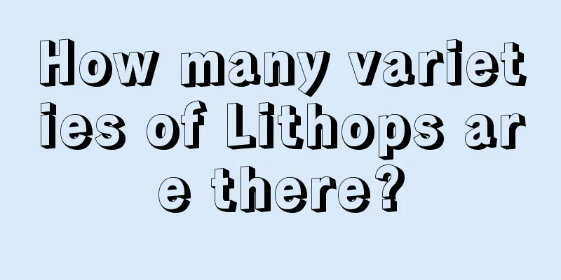 How many varieties of Lithops are there?