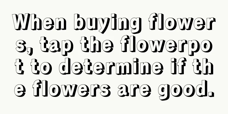 When buying flowers, tap the flowerpot to determine if the flowers are good.