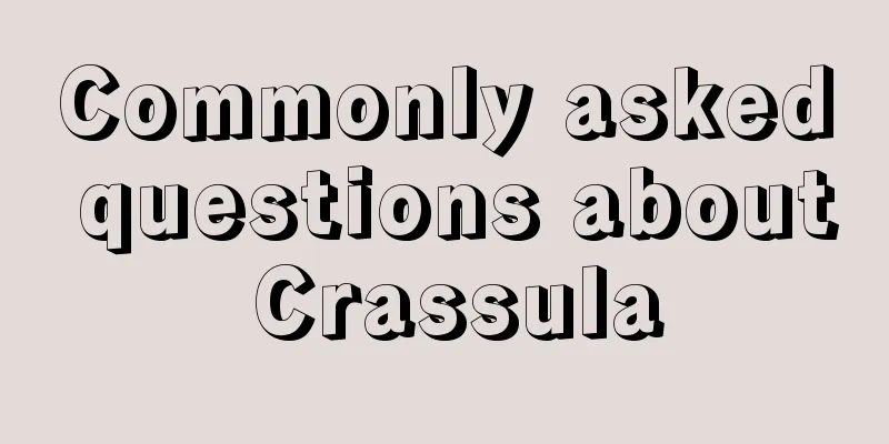 Commonly asked questions about Crassula