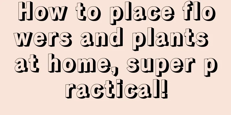 How to place flowers and plants at home, super practical!