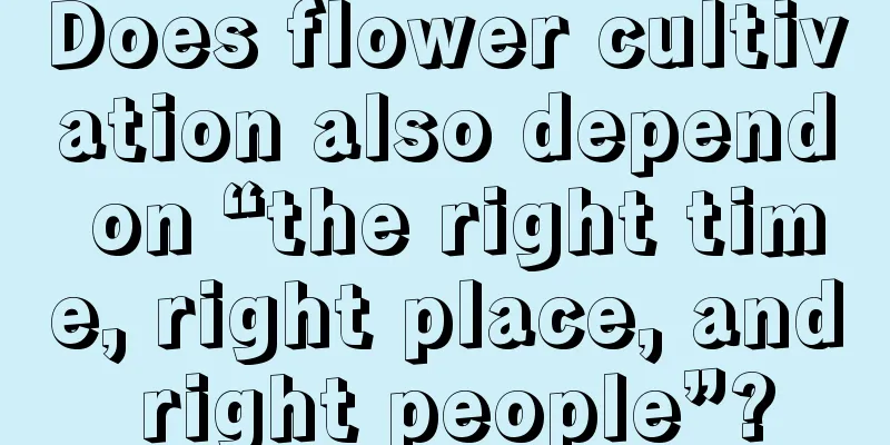 Does flower cultivation also depend on “the right time, right place, and right people”?