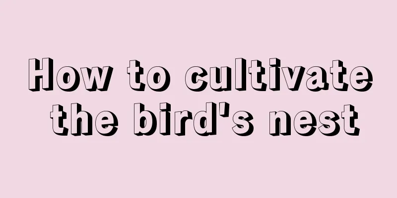 How to cultivate the bird's nest