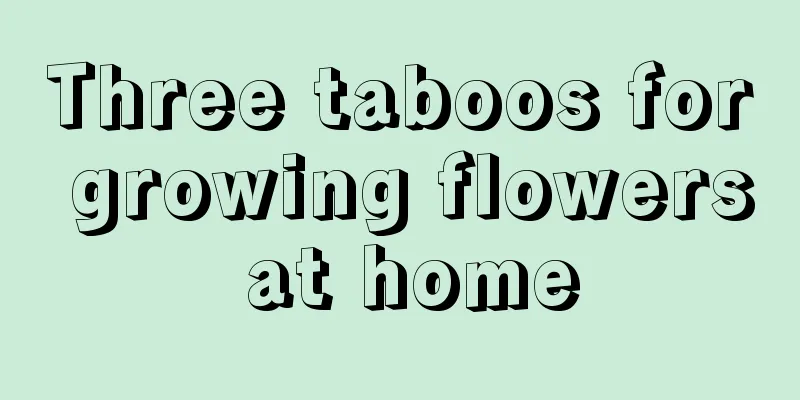 Three taboos for growing flowers at home