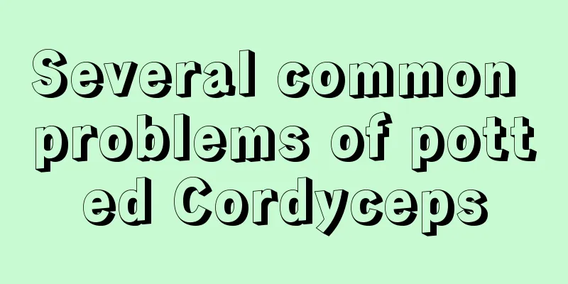 Several common problems of potted Cordyceps