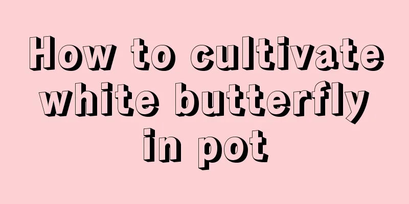 How to cultivate white butterfly in pot