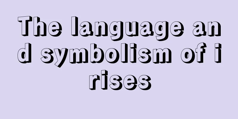 The language and symbolism of irises