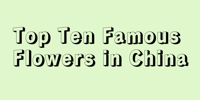 Top Ten Famous Flowers in China