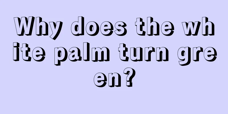 Why does the white palm turn green?