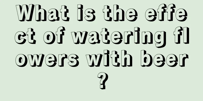 What is the effect of watering flowers with beer?