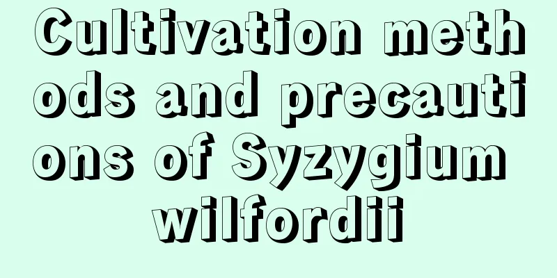 Cultivation methods and precautions of Syzygium wilfordii