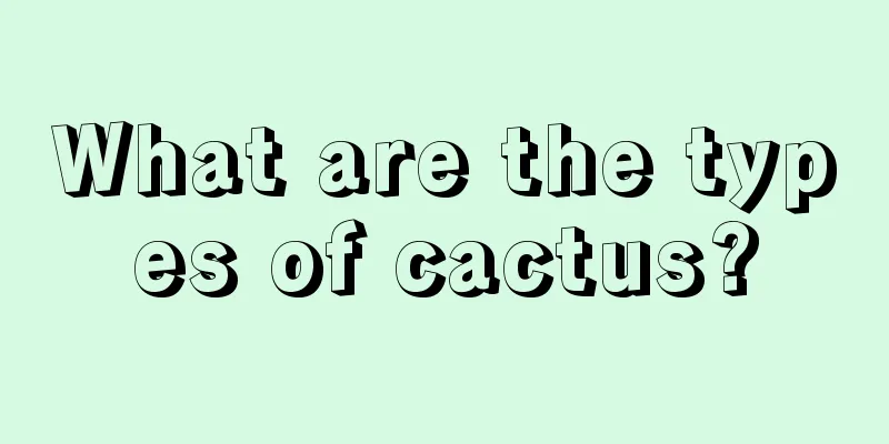 What are the types of cactus?