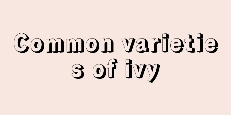 Common varieties of ivy