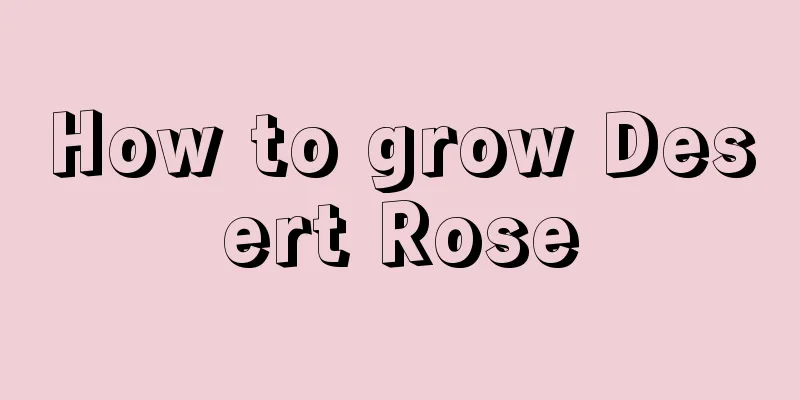 How to grow Desert Rose