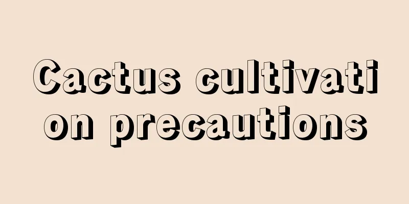 Cactus cultivation precautions