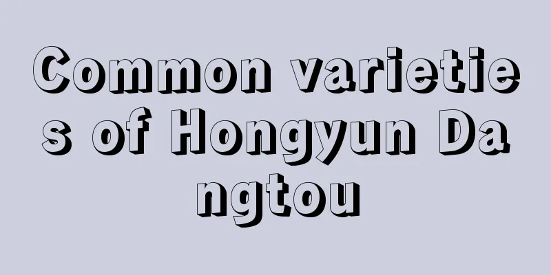 Common varieties of Hongyun Dangtou