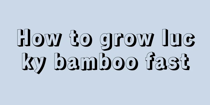 How to grow lucky bamboo fast