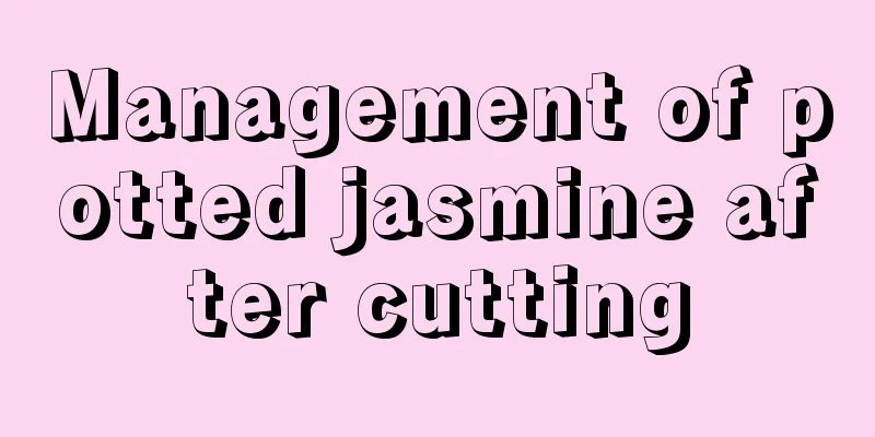 Management of potted jasmine after cutting