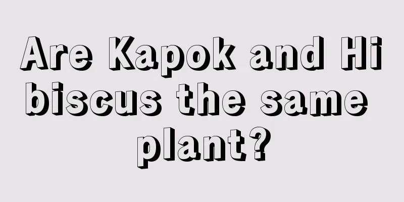 Are Kapok and Hibiscus the same plant?