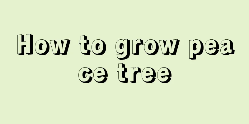 How to grow peace tree