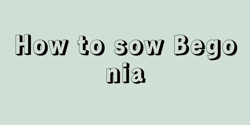 How to sow Begonia