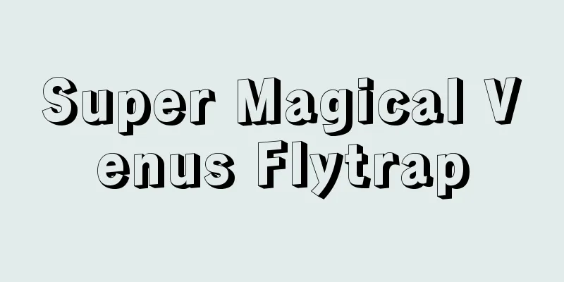 Super Magical Venus Flytrap