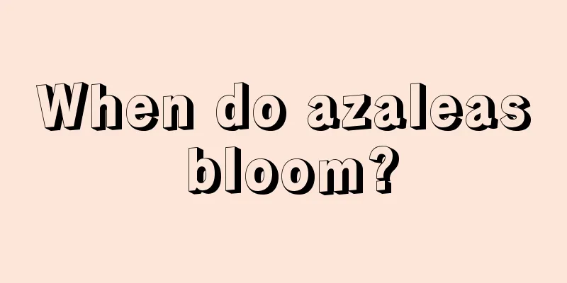 When do azaleas bloom?